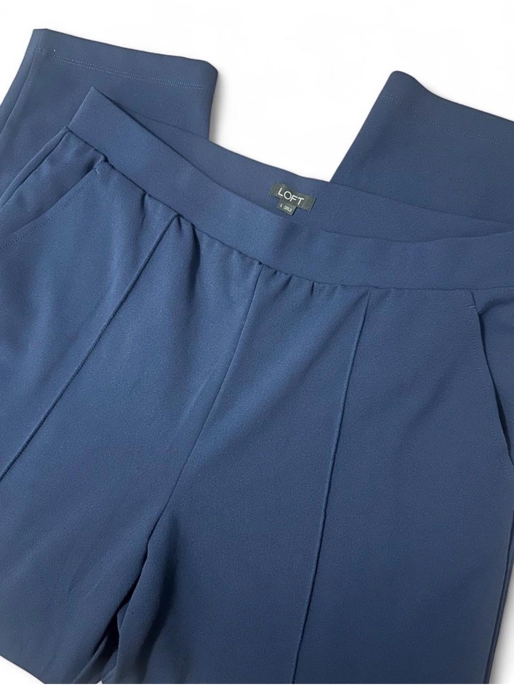 LOFT Navy Pleated Work Pants